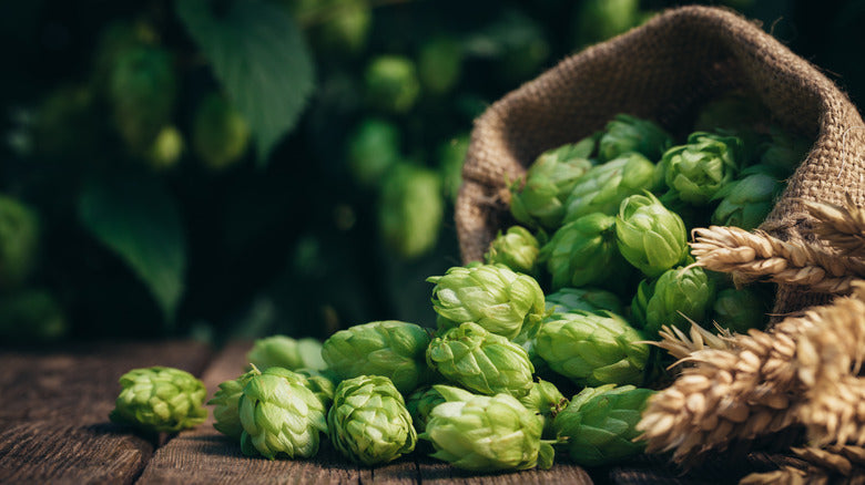 IPA- everything