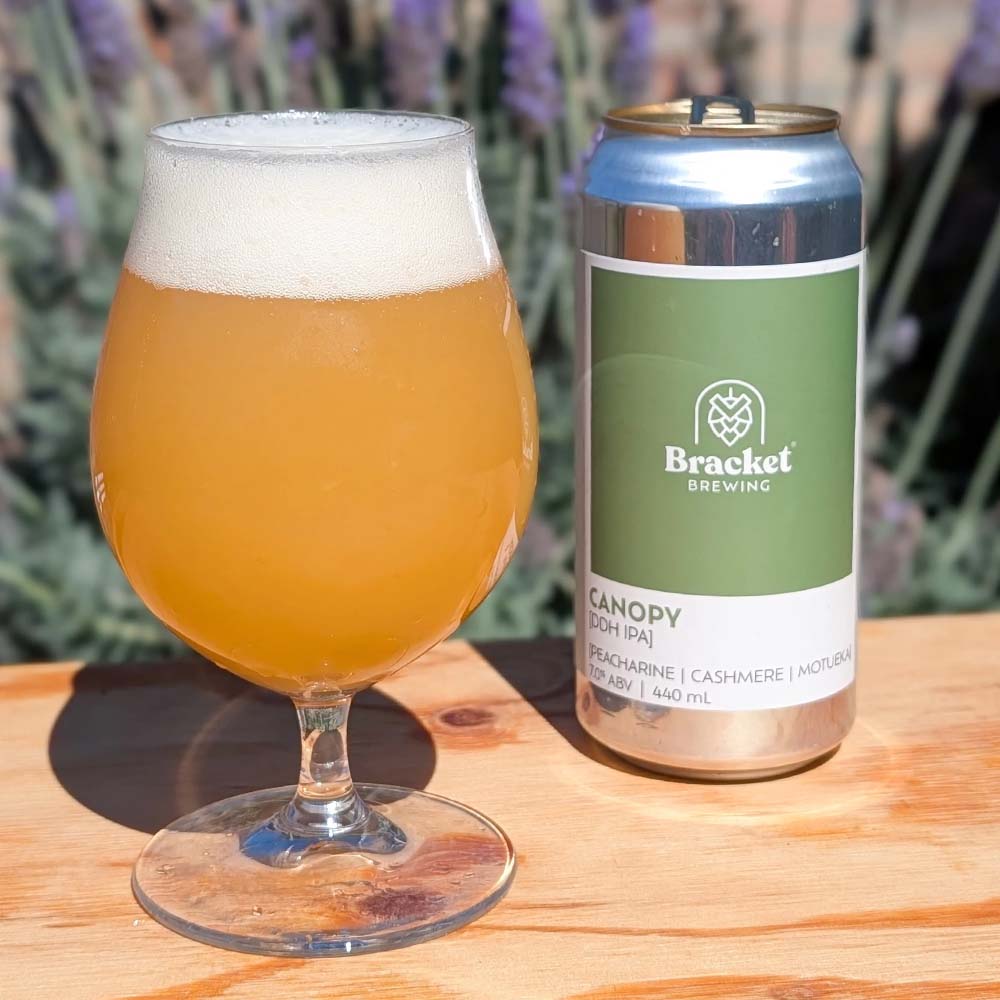 Bracket Brewing - Canopy DDH IPA