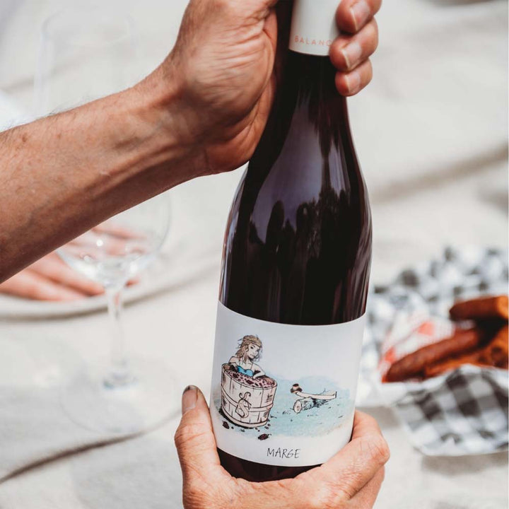 See Saw MARGE Organic Skin Contact Gamay Pinot Noir 2022