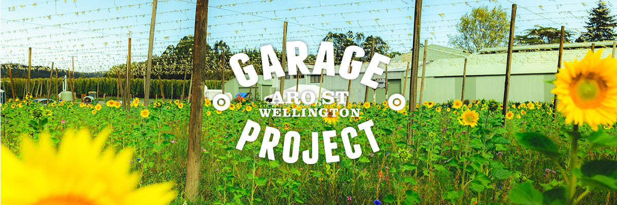 Garage Project