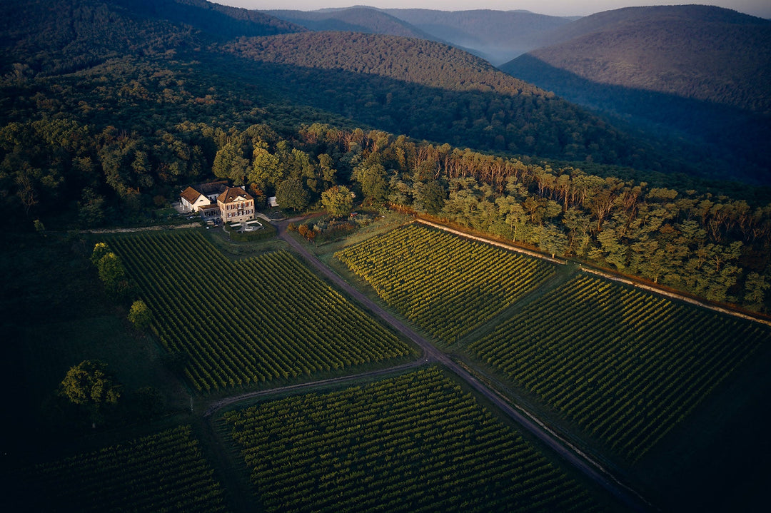 Odinstal Winery