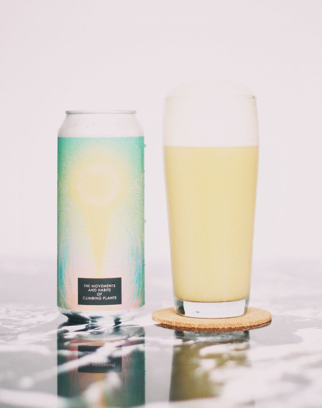 TEST - The Movements And Habits of Climbing Plants DIPA PACKAGED 02.08.2026