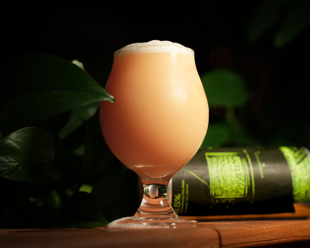 Fidens - Gentle Static Double IPA PACKAGED 30.07.2026