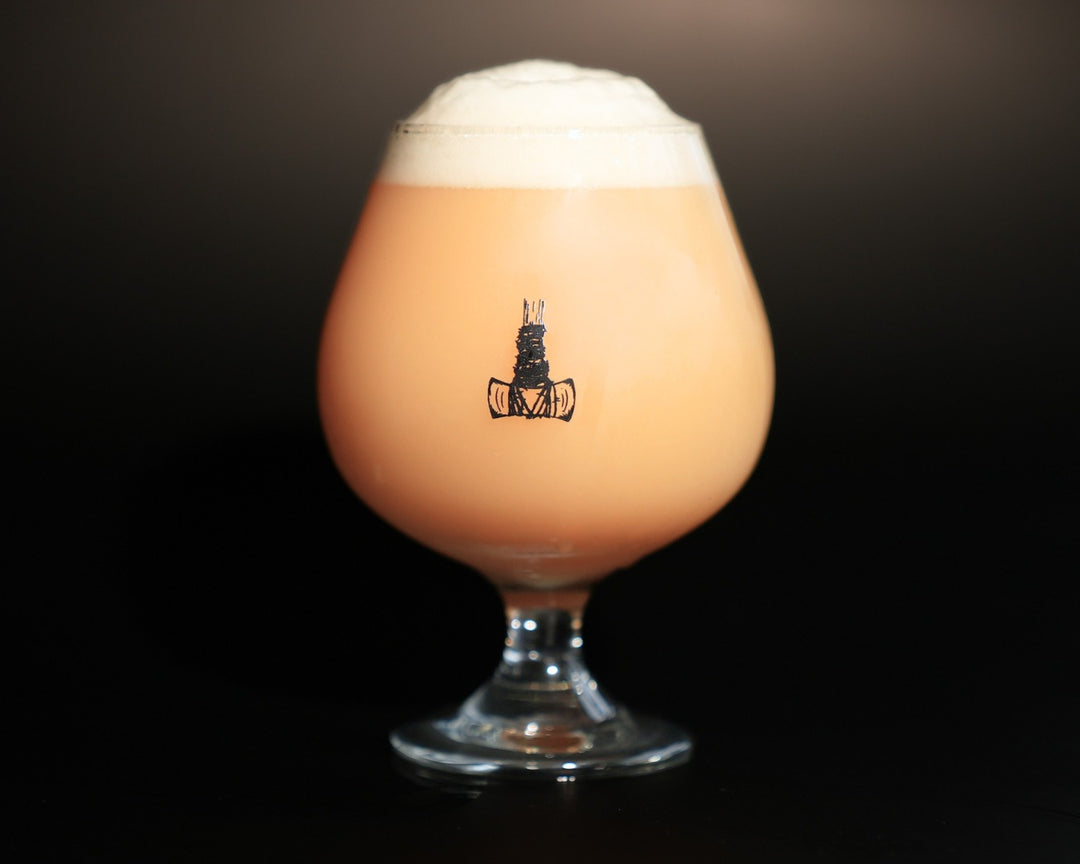 Fidens - Socratic Questioning 64 Double IPA PACKAGED 30.07.2026